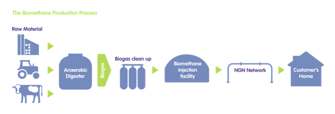 NGN Bio table 5_horizontal